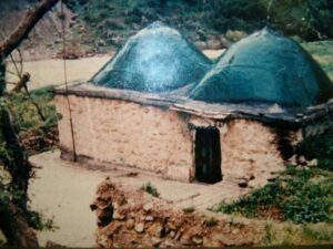 -5949683032984242811_120 (1)